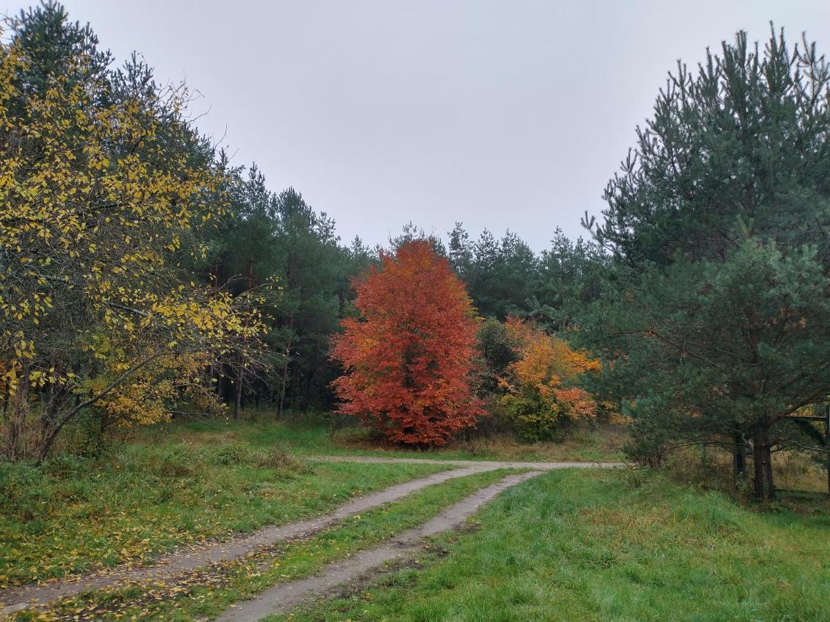 Agroturystyka Lesna Babka Jastrowie Buitenkant foto